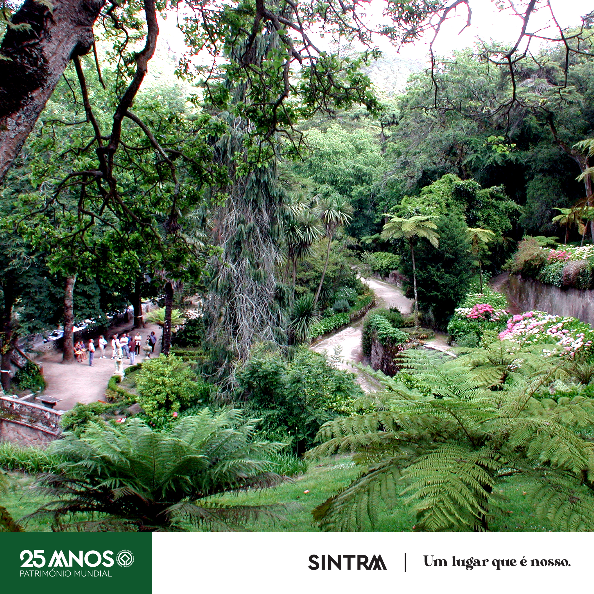 E-Tickets for Guided Tours