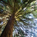 Yoga - Aulas para todos