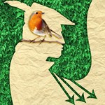 Robin dos Bosques | Quinta da Ribafria