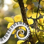Concerto de Ano Novo