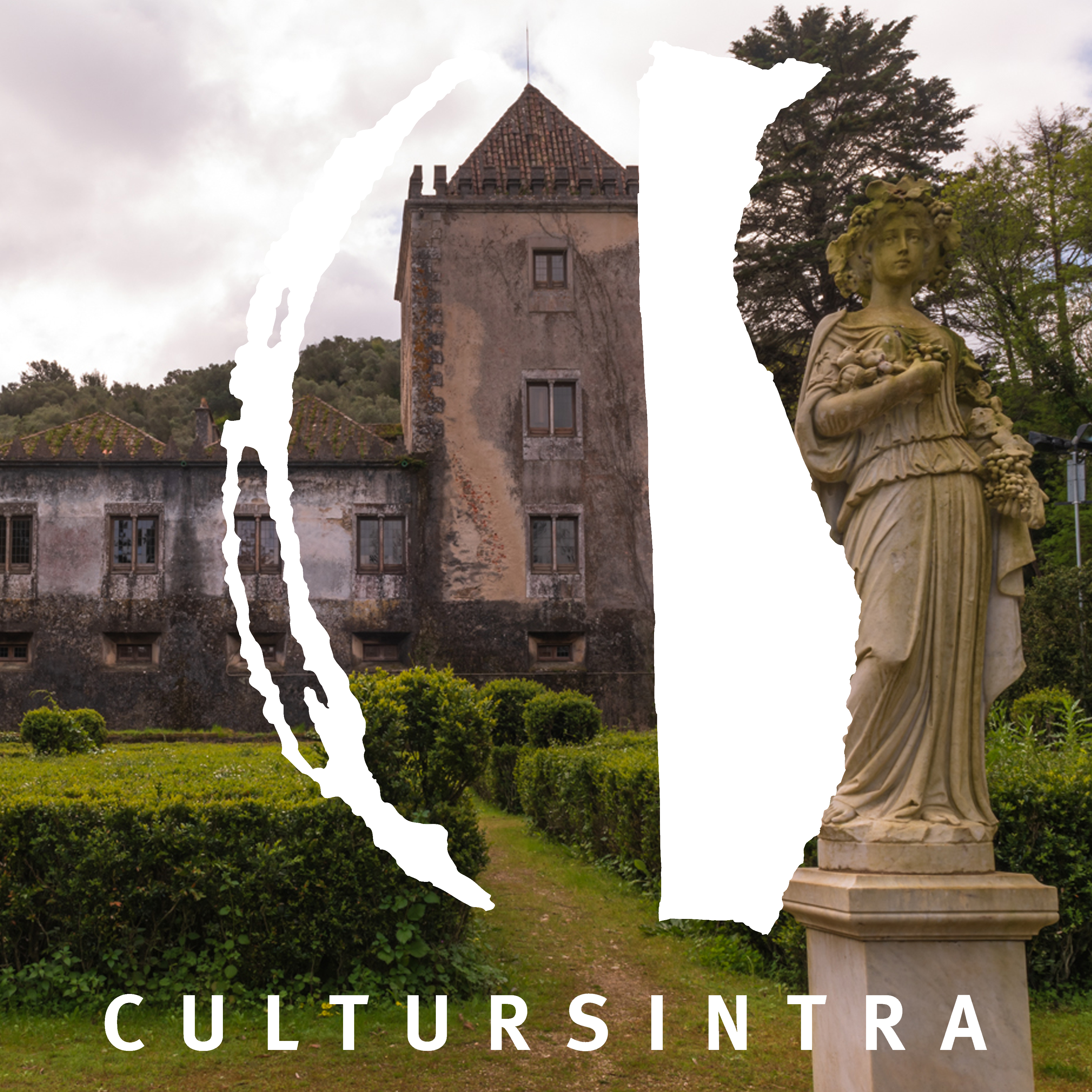 PROCEDIMENTOS CONCURSAIS