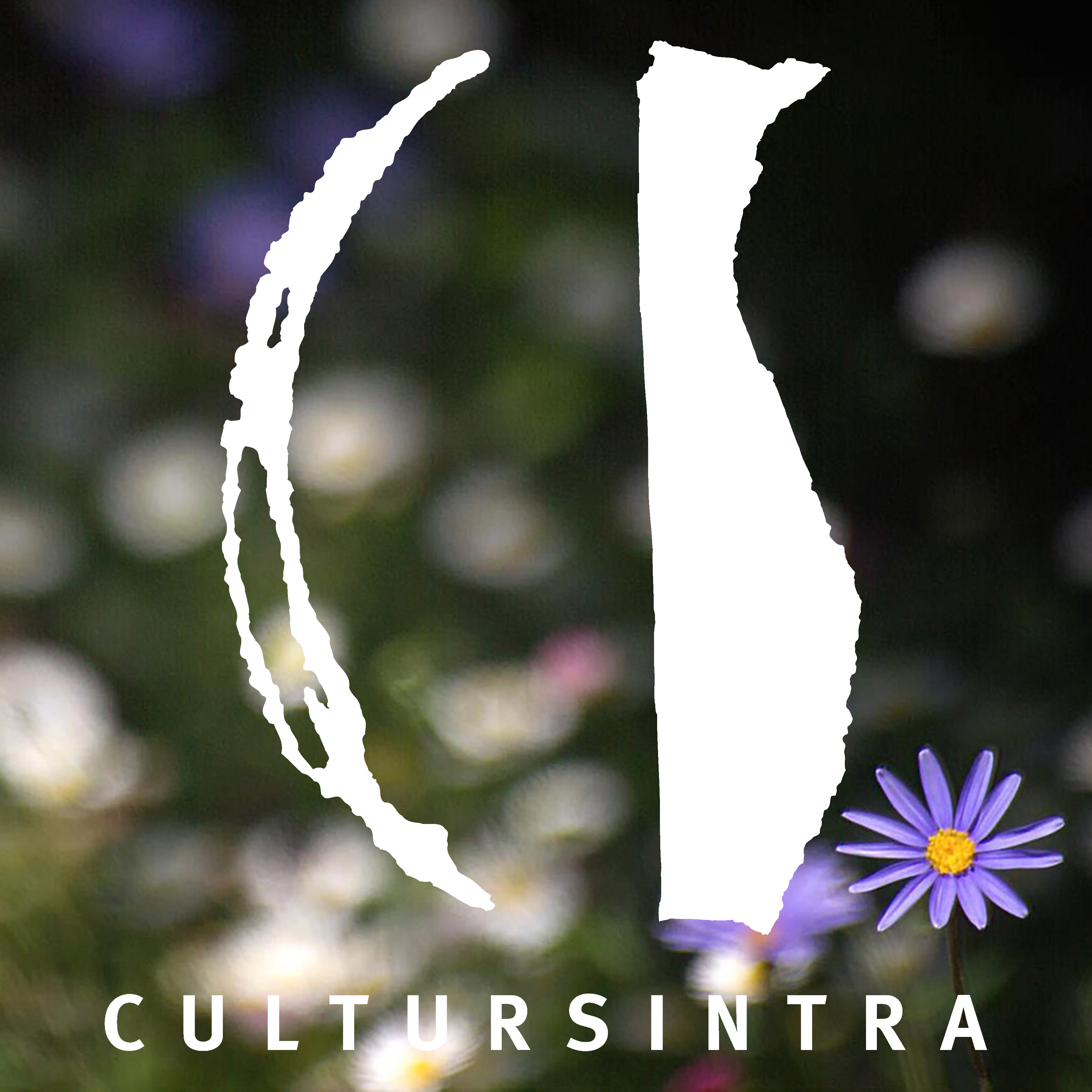 Avaliação (SIADAP)