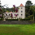 Yoga - Aulas para todos