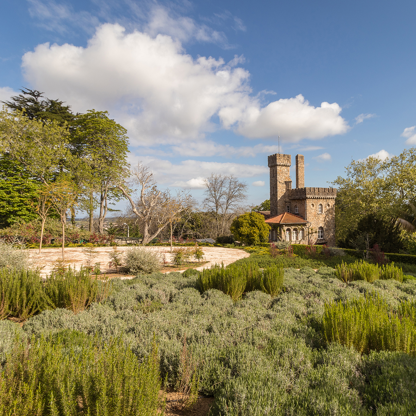 A CUIDAR DO PATRIMÓNIO
