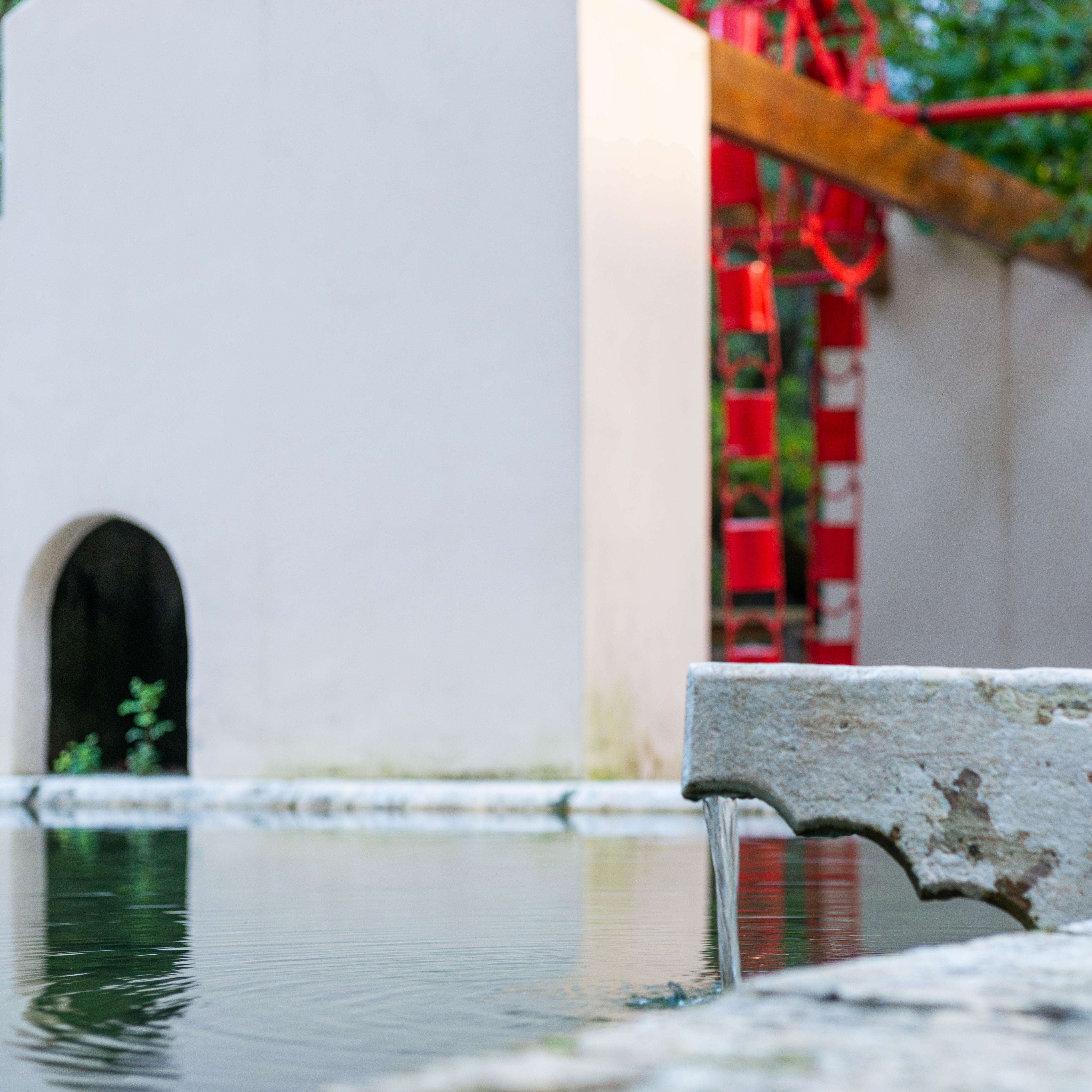 Programa REVIVE na Quinta da Ribafria